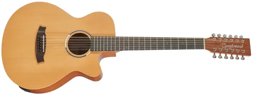 Tanglewood TR4-12 CE