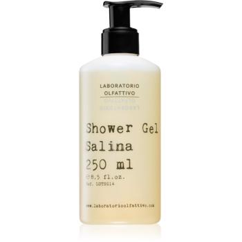 Laboratorio Olfattivo Salina parfémovaný sprchový gel unisex 250 ml