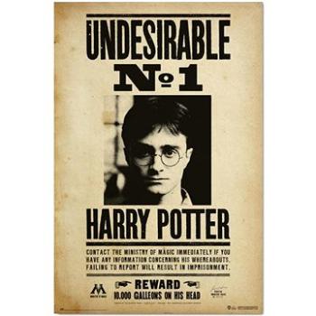 Harry Potter - Nežádoucí No.1  - plakát (8435497271992)