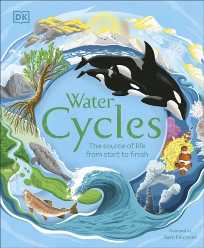 Water Cycles - DK