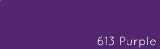 Jacquard Acid Dyes - 613 Purple
