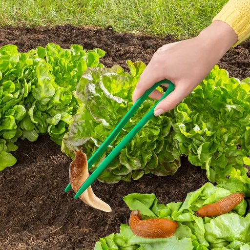 Kleště na slimáky