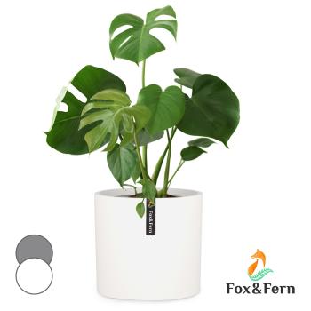 Fox & Fern Venlo, květináč, Polystone, interiér a exteriér, 3 velikosti