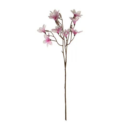 Magnolie větev x 3 výhony (9 květů a poupata), výška 70 cm