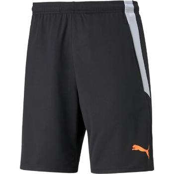 Puma TEAMLIGA TRAINING SHORTS 2 Pánské šortky, černá, velikost