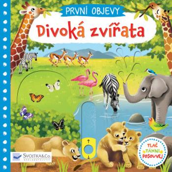 První objevy - Divoká zvířata - Jenny Wren