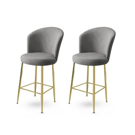 Bar Stool Set (2 Pieces) Alte - Grey, Gold