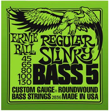 Ernie Ball 2836