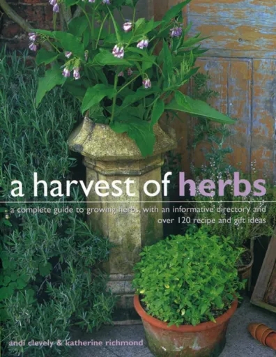 Harvest of Herbs - Andi Clevely