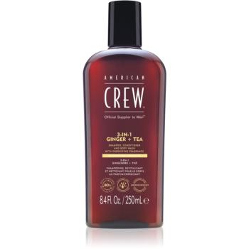 American Crew 3 in 1 Ginger + Tea șampon, balsam și gel de duș 3 în 1 pentru barbati 250 ml