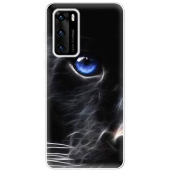 iSaprio Black Puma pro Huawei P40 (blapu-TPU3_P40)