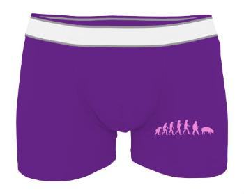 Pánské boxerky Contrast Evolution Pig