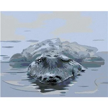 Zuty - Malování podle čísel - ALIGÁTOR VE VODĚ (D. RUSTY RUST), 80x100 cm, vypnuté plátno na rám (HRAmmb03967nad)