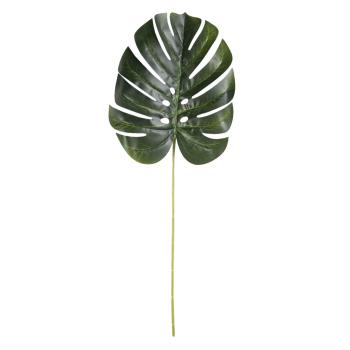 Okrasný list Monstera - 60cm 6PL0210