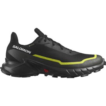 Salomon ALPHACROSS 5 GORE-TEX 43 1/3