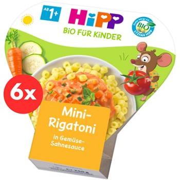 HiPP BIO Mini-Rigatoni se zeleninou  ve smetanové omáčce 6× 250 g (4062300255364)