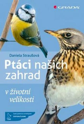 Ptáci našich zahrad v životní velikosti - Daniela Straußová