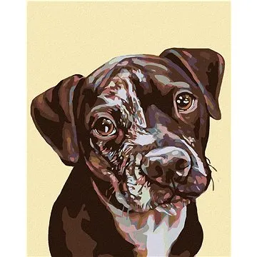 Malování podle čísel - Flekaté štěně (HRAmal00934nad)