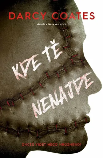 Kde tě nenajde - Darcy Coates