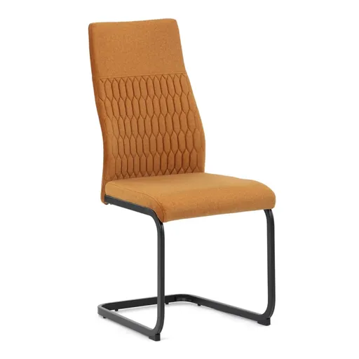 Jídelní židle DCL-X7018 Autronic