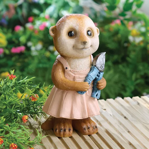 Surikata zahradnice Luzie