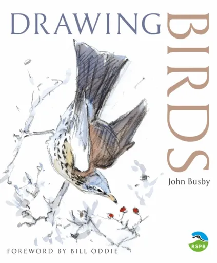 Drawing Birds - John Busby