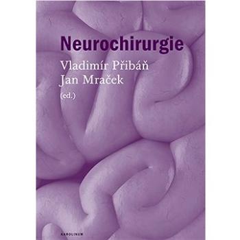 Neurochirurgie (9788024654560)