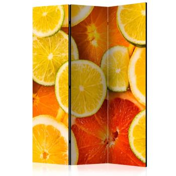 Paraván Citrus fruits Dekorhome 135x172 cm (3-dílný)