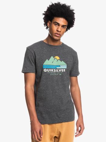 Quiksilver scenicrecovery m tees l