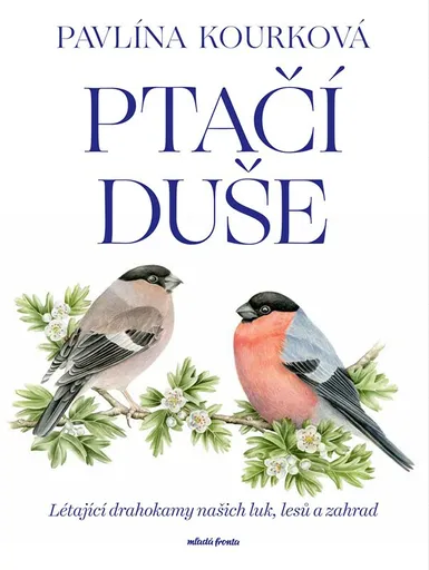 Ptačí duše - Pavlína Kourková