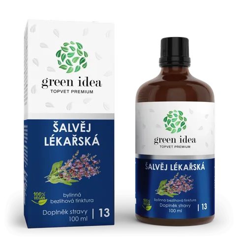 Šalvěj lékařská bezlihová tinktura 100 ml - Green idea