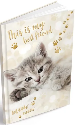 Záznamová kniha A6 MFP 100l/linka ZL6104