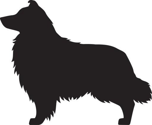 Vsepropejska Sheltie dřevěná dekorace na zeď Rozměr (cm): 31 x 38