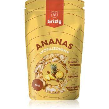 Grizly Ananas lyofilizovaný sušené ovoce 50 g