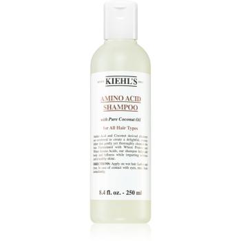 Kiehl's Amino Acid Shampoo šampon s kokosovým olejem pro všechny typy vlasů 250 ml