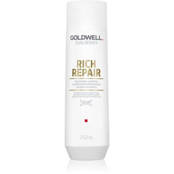 Goldwell Dualsenses Rich Repair obnovující šampon pro suché a poškozené vlasy 250 ml