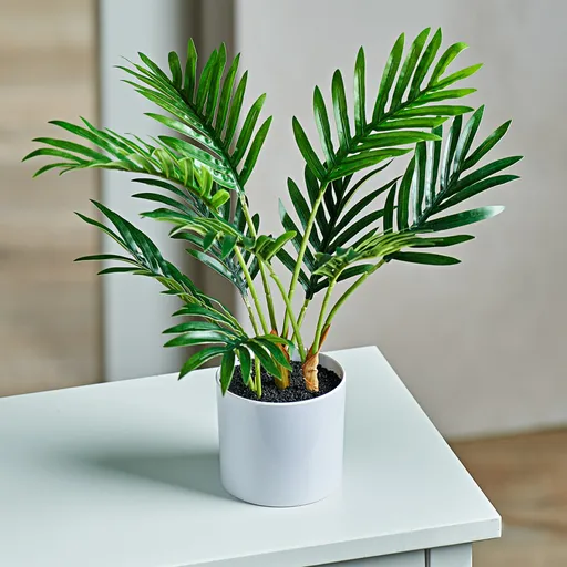 Palma v květináči