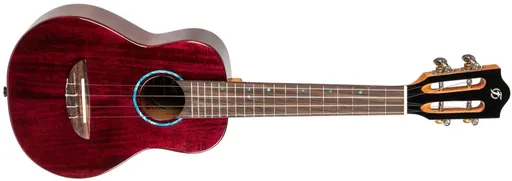 Flight IRIS TINTA CONCERT TPP