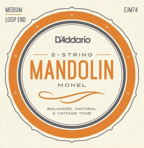 D'Addario EJM74