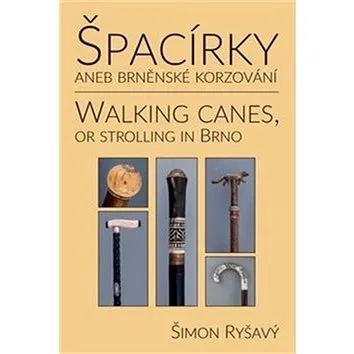 Špacírky aneb brněnské korzování (978-80-7354-183-5)