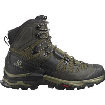 Salomon QUEST 4 GTX Pánská treková obuv, khaki, velikost 46