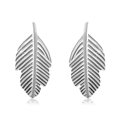 Stříbrné náušnice 925, lesklé gravírované pírko, puzetky