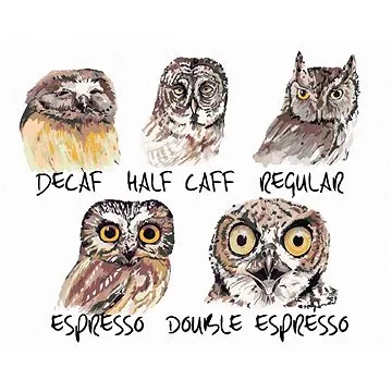 Malování podle čísel - Sovy (Holly Simental) (HRAbz33130nad)