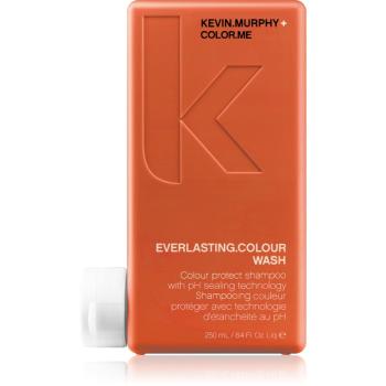 Kevin Murphy Everlasting.Colour Wash šampon pro barvené vlasy 250 ml