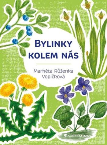 Bylinky kolem nás - Markéta Růženka Vopičková