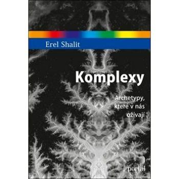 Komplexy: Archetypy, které v nás ožívají (978-80-262-1312-3)