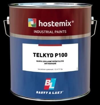 BARVY A LAKY TELURIA TELKYD  P100 - matná syntetická základná farba 10 kg 0110 - šedá