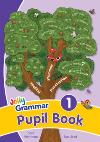 Grammar 1 Pupil Book - Sara Wernham, Sue Lloyd