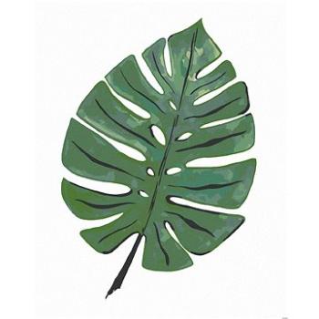 Zuty - Malování podle čísel - LIST MONSTERA (ALEXANDRIA GILBERT), 80x100 cm, vypnuté plátno na rám (HRAmmb07431nad)