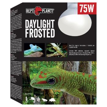 Repti Planet žárovka Daylight Frosted 75W